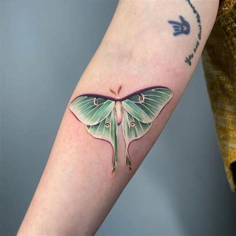 100 Luna Moth Tattoos: Meaning, Designs and Styles